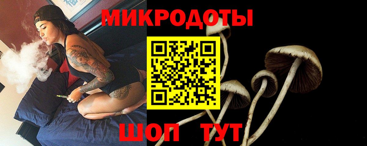Галлюциногенные грибы ЛСД  Галлюциногенные грибы мухоморы  Аргун  Вход с VPN 