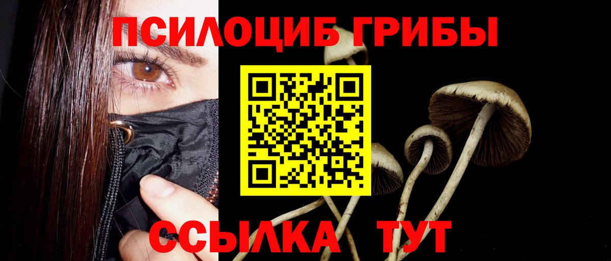 Псилоцибиновые грибы Magic Shrooms Аргун